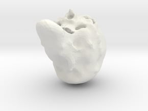 Halloween Skull in White Natural Versatile Plastic