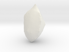 Elettaria kardamum (Kardamom) in White Natural Versatile Plastic