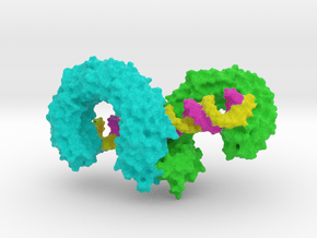 Toll Like Receptor And RNA in Full Color Sandstone