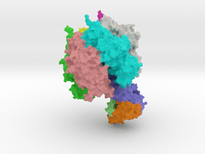 ATP Synthase F1 in Full Color Sandstone