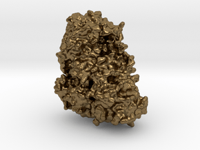 Ricin Toxin in Natural Bronze