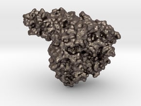 Cholera Toxin in Polished Bronzed Silver Steel