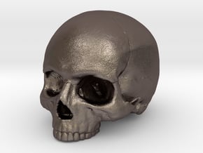 Yorick Skull with Latin Inscription in Polished Bronzed Silver Steel