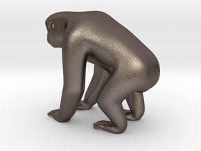 Silvery Gibbon in Polished Bronzed Silver Steel