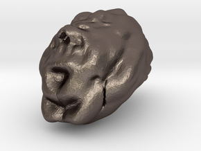 Sculptris Brain in Polished Bronzed Silver Steel