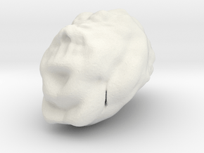 Sculptris Brain in White Natural Versatile Plastic