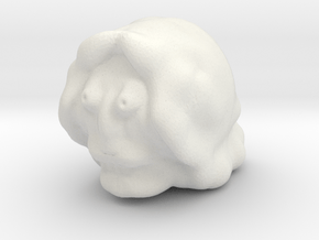 lion head in White Natural Versatile Plastic