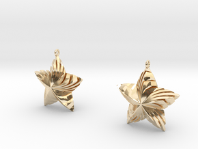 Tortuous Stars Earrings in 14K Yellow Gold