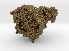 E-coli Toxin in Natural Bronze