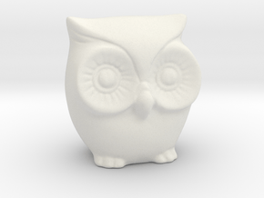 Little tiny owl in White Natural Versatile Plastic