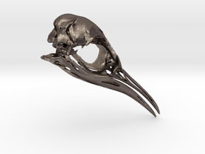 Aptenodytes Adult - Penguin Skull in Polished Bronzed Silver Steel
