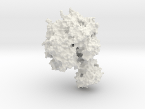ATP Synthase F1 in White Natural Versatile Plastic