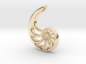 Nautilus Spiral: 4cm in 14K Yellow Gold