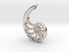 Nautilus Spiral: 4cm in Platinum