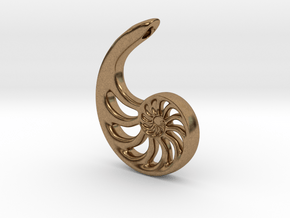 Nautilus Spiral: 4cm in Natural Brass