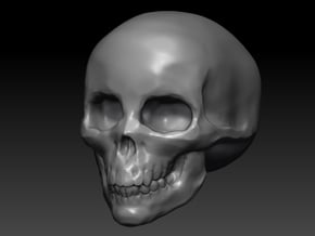 large skull hollow in White Processed Versatile Plastic