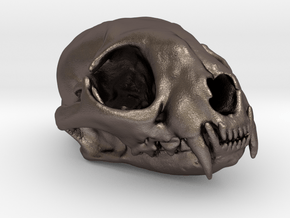 Cat skull - 45 mm in Polished Bronzed Silver Steel
