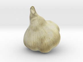 The Garlic in Full Color Sandstone