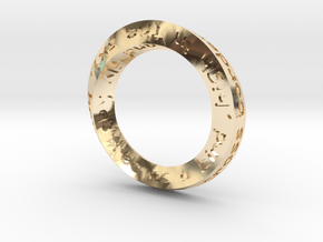 Mobius Fly Model 3cm in 14K Yellow Gold