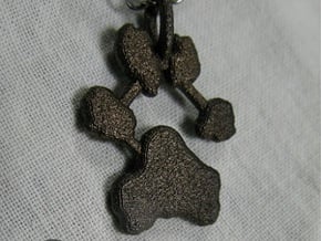  Custom Paw Print Pendants - Roxy's Paw Print in Polished Bronze