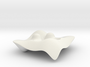 Cf3aea98-ba95-4e4a-a6c4-34b497d2d431 in White Natural Versatile Plastic