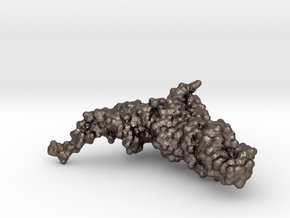 tRNA (small) in Polished Bronzed Silver Steel