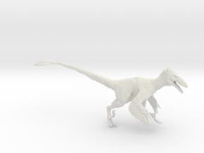 Deinonychus antirrhopus 1:15 scale model in White Natural Versatile Plastic