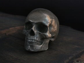 Yorick Full Skull with Latin Inscription in Polished Bronzed Silver Steel