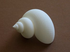 Simple shell - seashell in White Natural Versatile Plastic