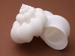 sino-pseudo auger shell - seashell in White Natural Versatile Plastic