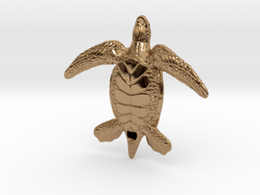 Sea Turtle in Polished Brass