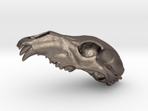 Bear Skull. WT-1. 6cm in Polished Bronzed Silver Steel