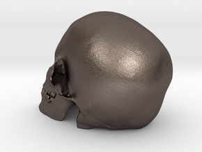 Skull  in Polished Bronzed Silver Steel