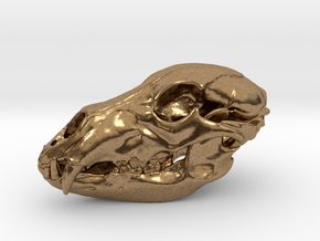 Bear Skull. 5cm in Natural Brass: Large