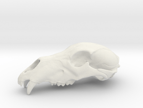 Bear Skull. WT-07. 6cm.  in White Natural Versatile Plastic