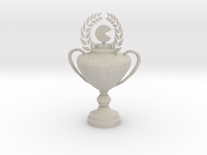 1st Place Cup in Natural Sandstone