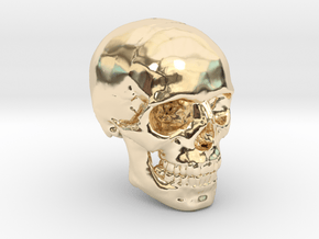 18mm 0.7in Human Skull Crane Schädel че́реп in 14K Yellow Gold