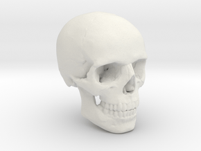 18mm 0.7in Human Skull Crane Schädel че́реп in White Natural Versatile Plastic