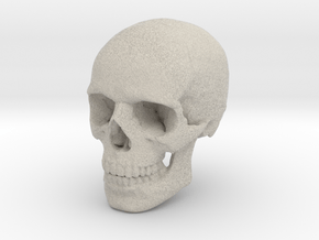 18mm 0.7in Human Skull Crane Schädel че́реп in Natural Sandstone
