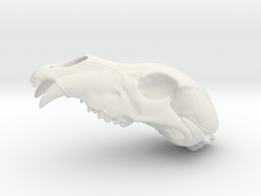 Bear Skull. WT-1. 6cm in White Natural Versatile Plastic