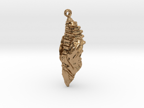 Chrysalis Pendant in Polished Brass