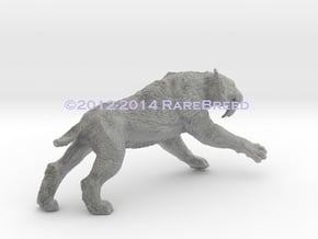 Smilodon populator in White Natural Versatile Plastic