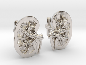 Anatomical Kidney Cufflinks in Platinum