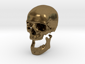 42mm 1.65in Human Skull Crane Schädel че́реп in Natural Bronze