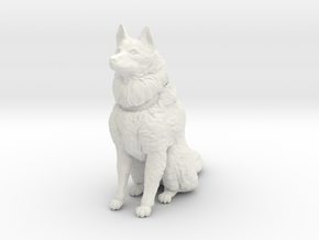 Dog Figurine - Sitting Finnish Spitz (hollow) in White Natural Versatile Plastic