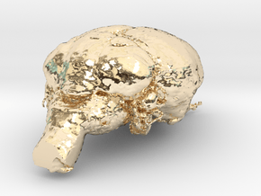 Get a pet mouse brain, real size!  Take it HOME  in 14K Yellow Gold