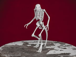 Lizard Man Skeleton in White Natural Versatile Plastic