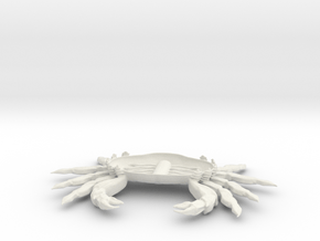 crab ventral in White Natural Versatile Plastic