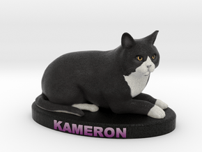 Custom Cat Figurine - Kameron in Full Color Sandstone