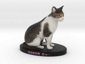 Custom Cat Figurine - Sabor in Full Color Sandstone